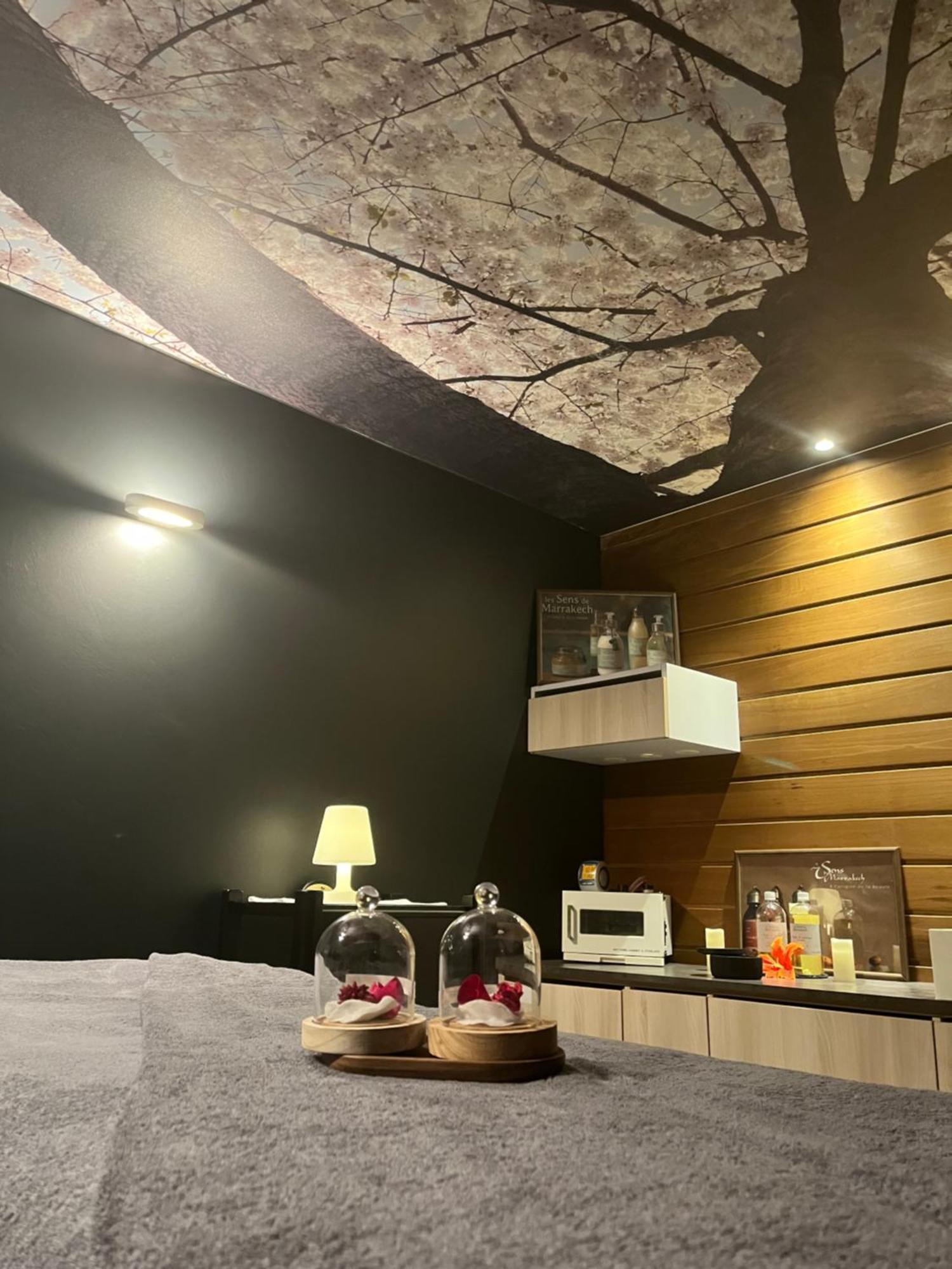 法耶特西佳Plus水疗酒店 埃皮纳勒 外观 照片
